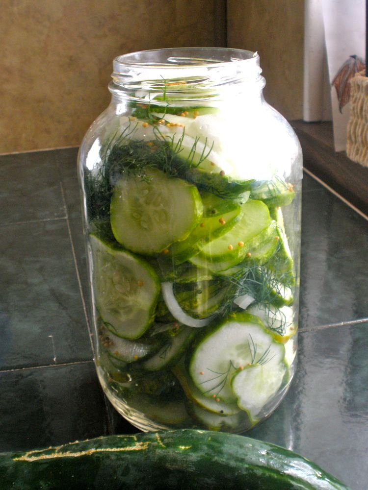 Photo of Refrigerator Pickles